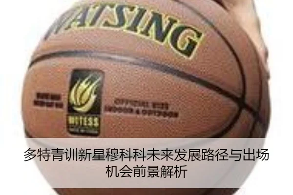多特青训新星穆科科未来发展路径与出场机会前景解析